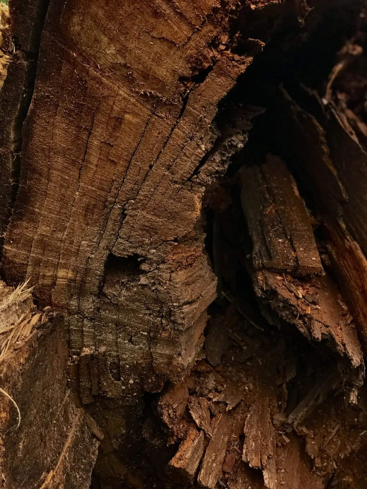 Smoky wood